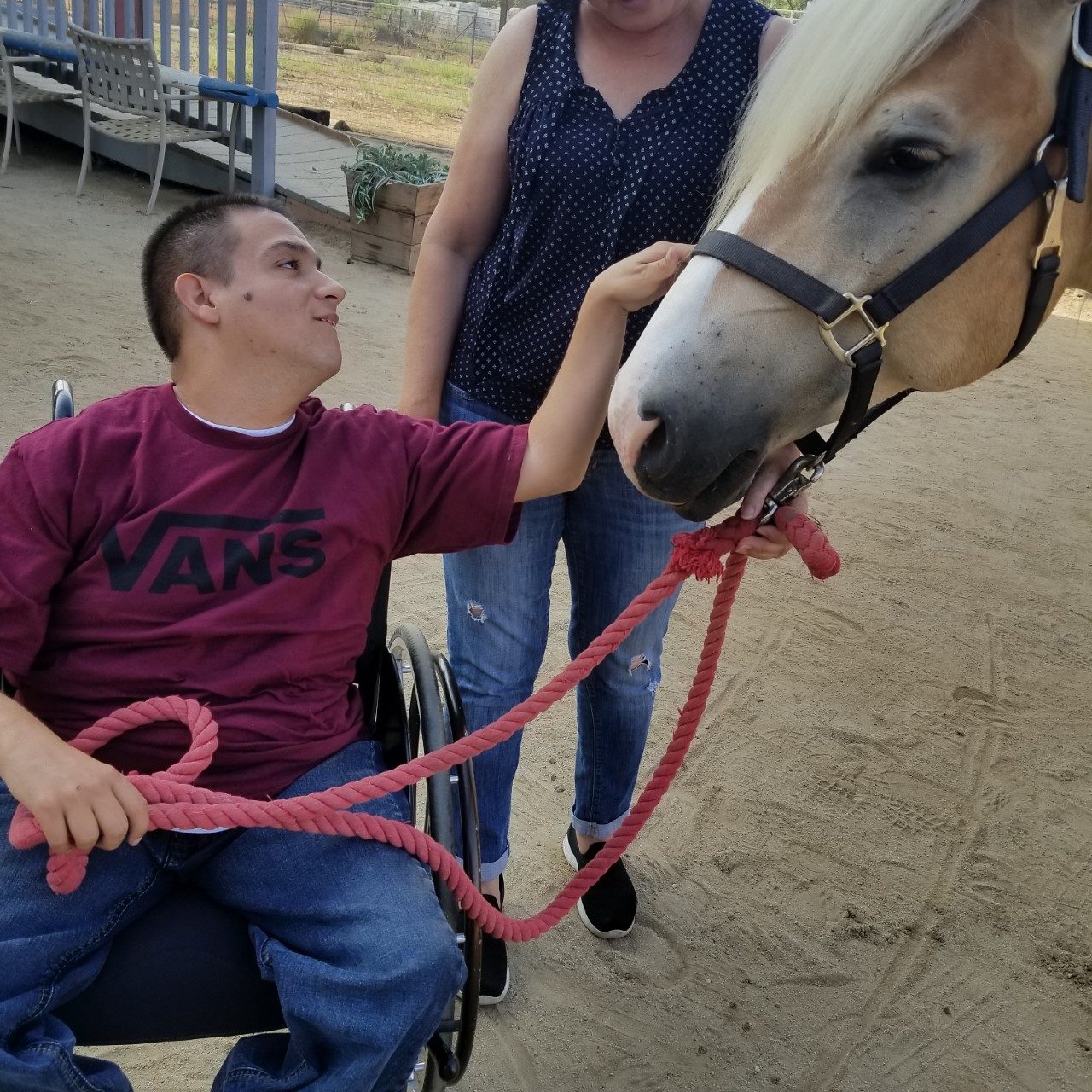 A rider using a wheelchair greeting a horse and holding the lead rope