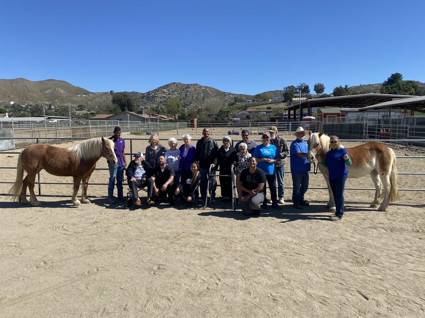 An NDR group program gathered in the arena with two therapy horses