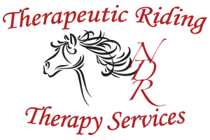 NDR Therapeutic Riding Therapy Services
