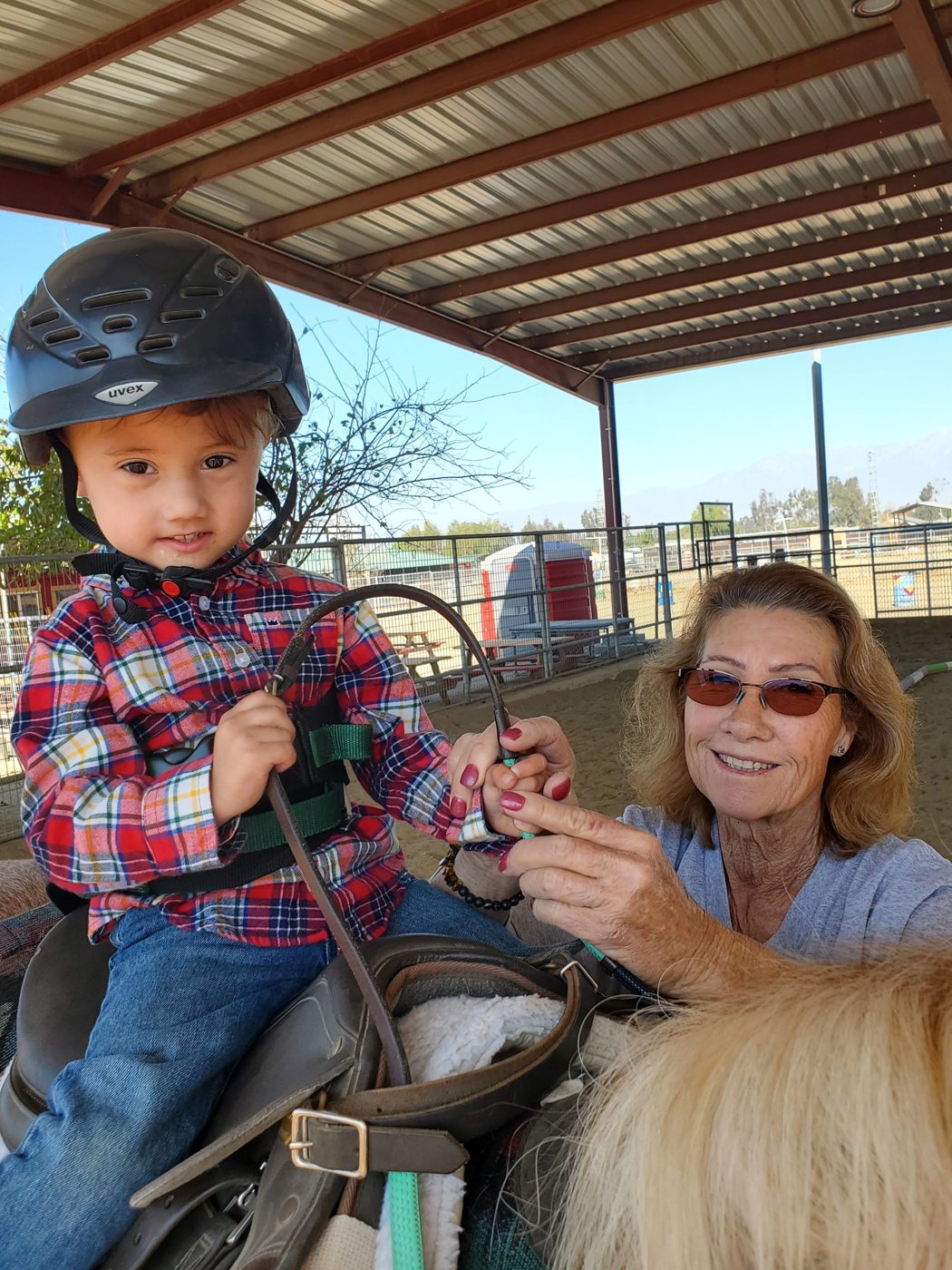A toddler in a riding helmet holding the reins while his grandmother steadies him