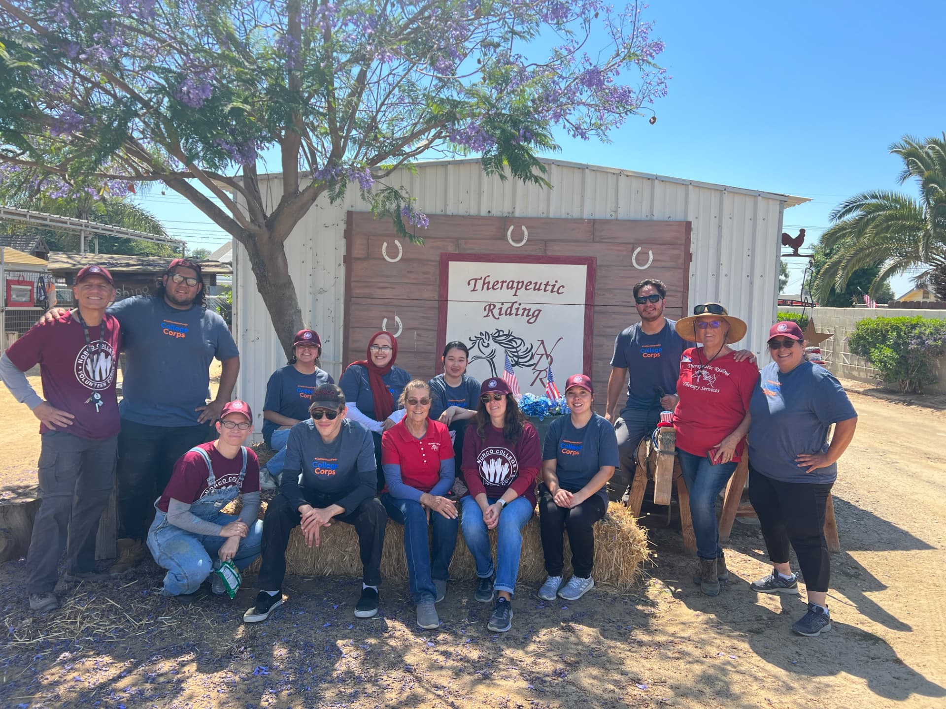 Group Visits & Schools