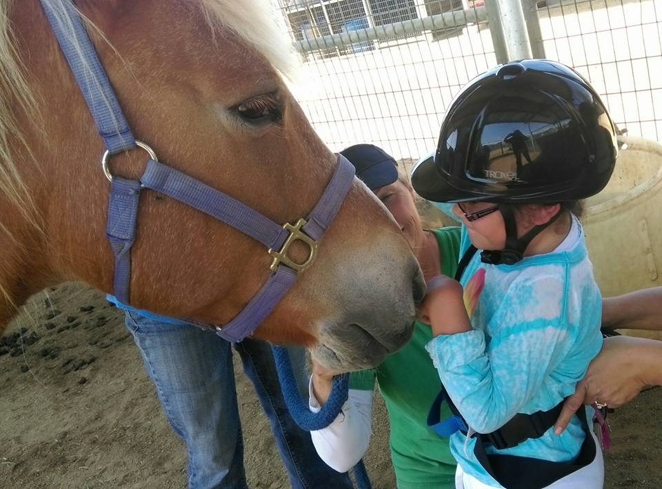 A rider and a horse saying hello, nose to nose